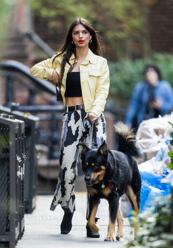 Emily Ratajkowski   Out in New York City 11 01 2022   - 52