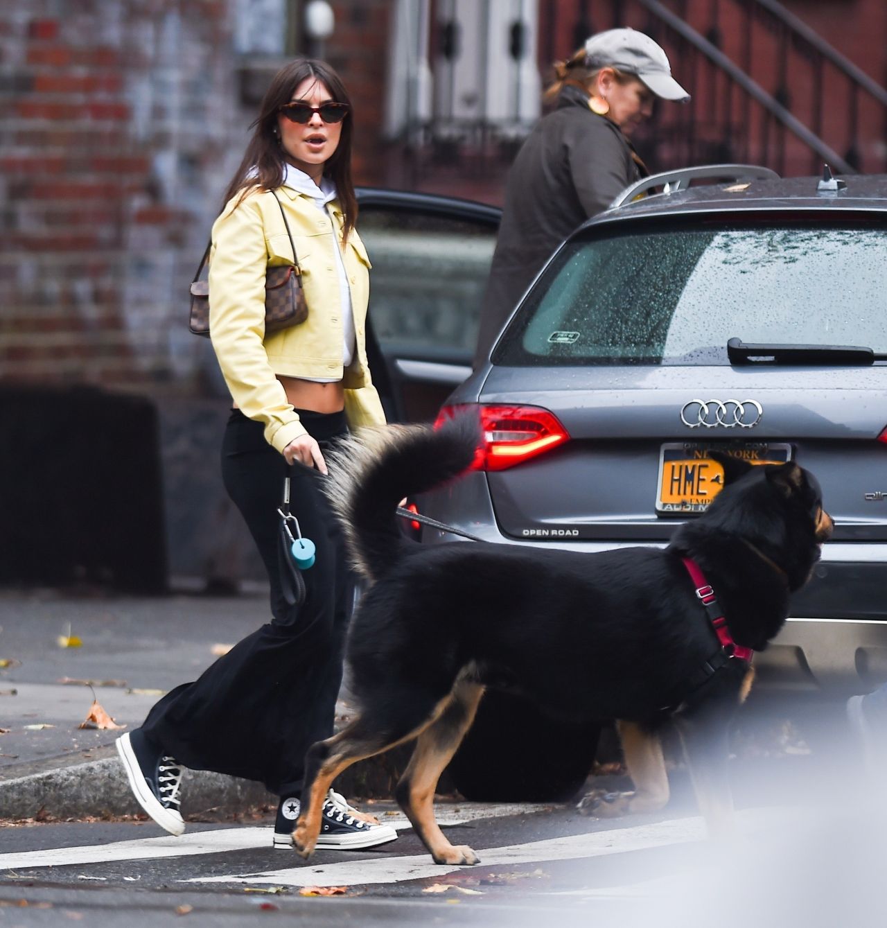 Emily Ratajkowski - Walk With Her Dog in Manhattan 11/25/2022 • CelebMafia