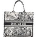 Christian Dior Canvas Embroidered Toile De Jouy Book Tote White Black