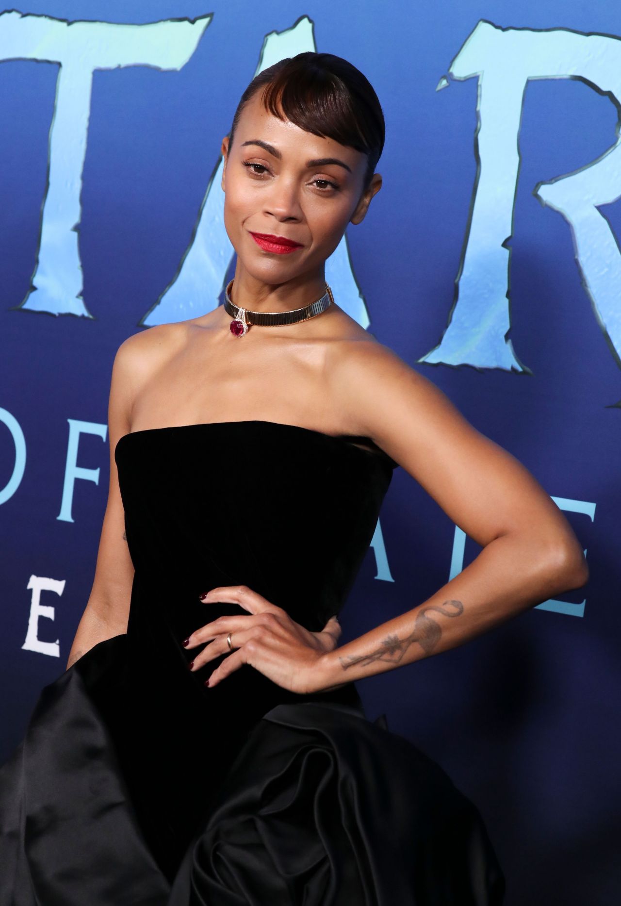 11192960 - 'Avatar: The Way of Water' premiere in Los AngelesSearch