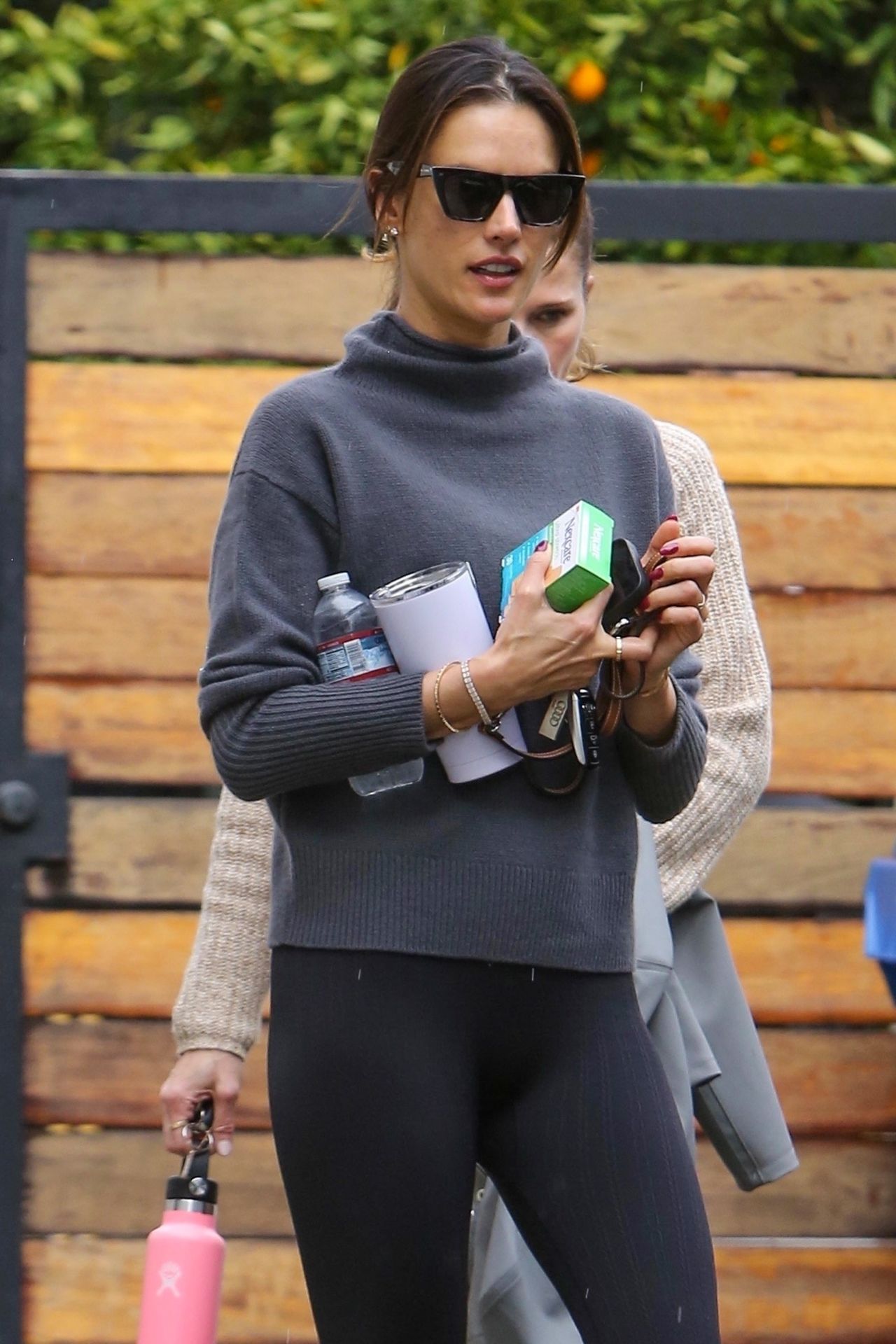 Alessandra Ambrosio in Workout Ready Outfit in West Hollywood 01/10 ...