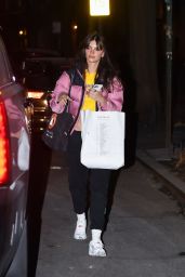 Emily Ratajkowski - Out in Manhattan 01/11/2023