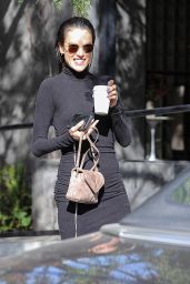 Alessandra Ambrosio - Out in Los Angeles 02/13/2023