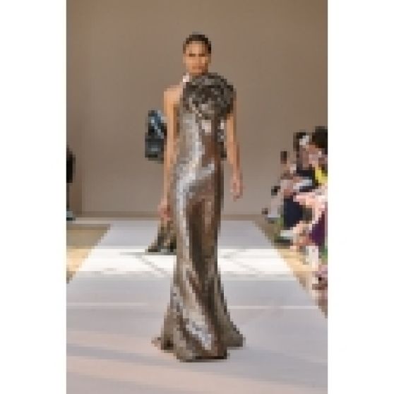 Elie Saab Fall 2022 Couture Dress