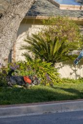 Elizabeth Banks - Walk Around Her Neighborhood in West Hollywood 03/16/2023