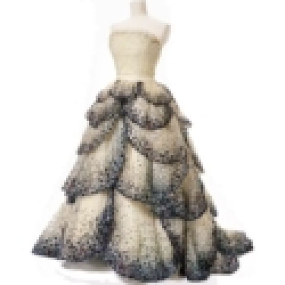 Dior Custom Gown
