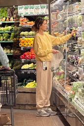 Alessandra Ambrosio Wears Comfy Clothes - Grocery Shopping at Bristol Farms in Brentwood 06/08/2023