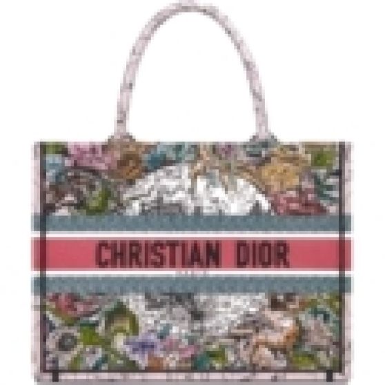 Dior Book Tote