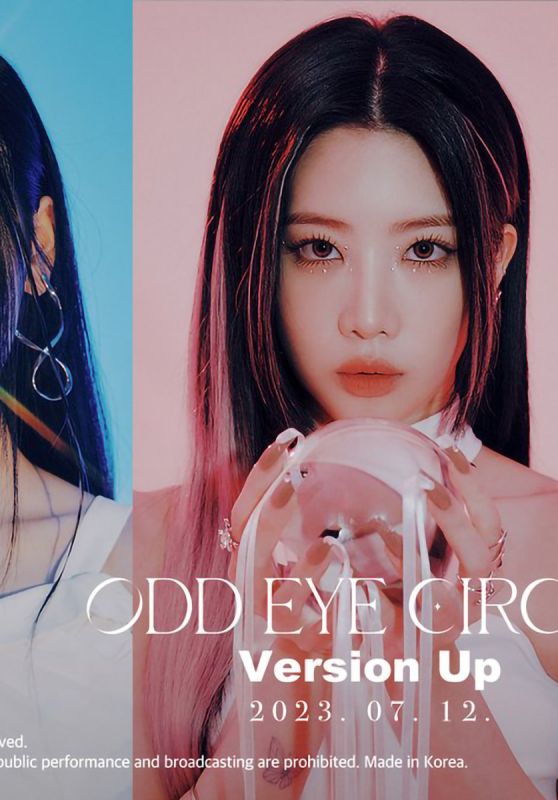 ODD EYE CIRCLE - 