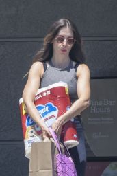 Alison Brie - Shopping Trip to Gelson