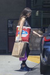 Alison Brie - Shopping Trip to Gelson