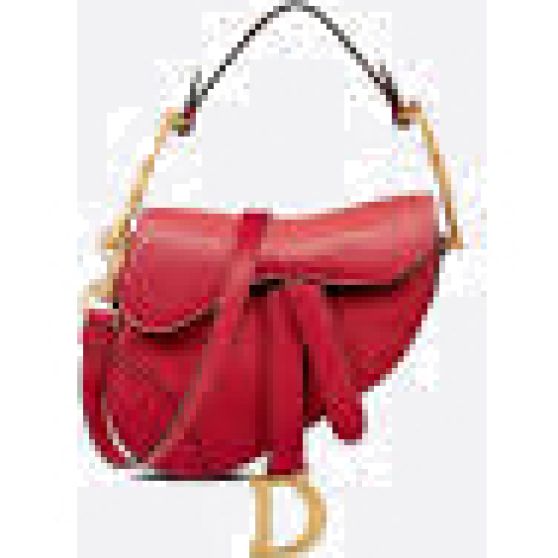 Dior Saddle Bag