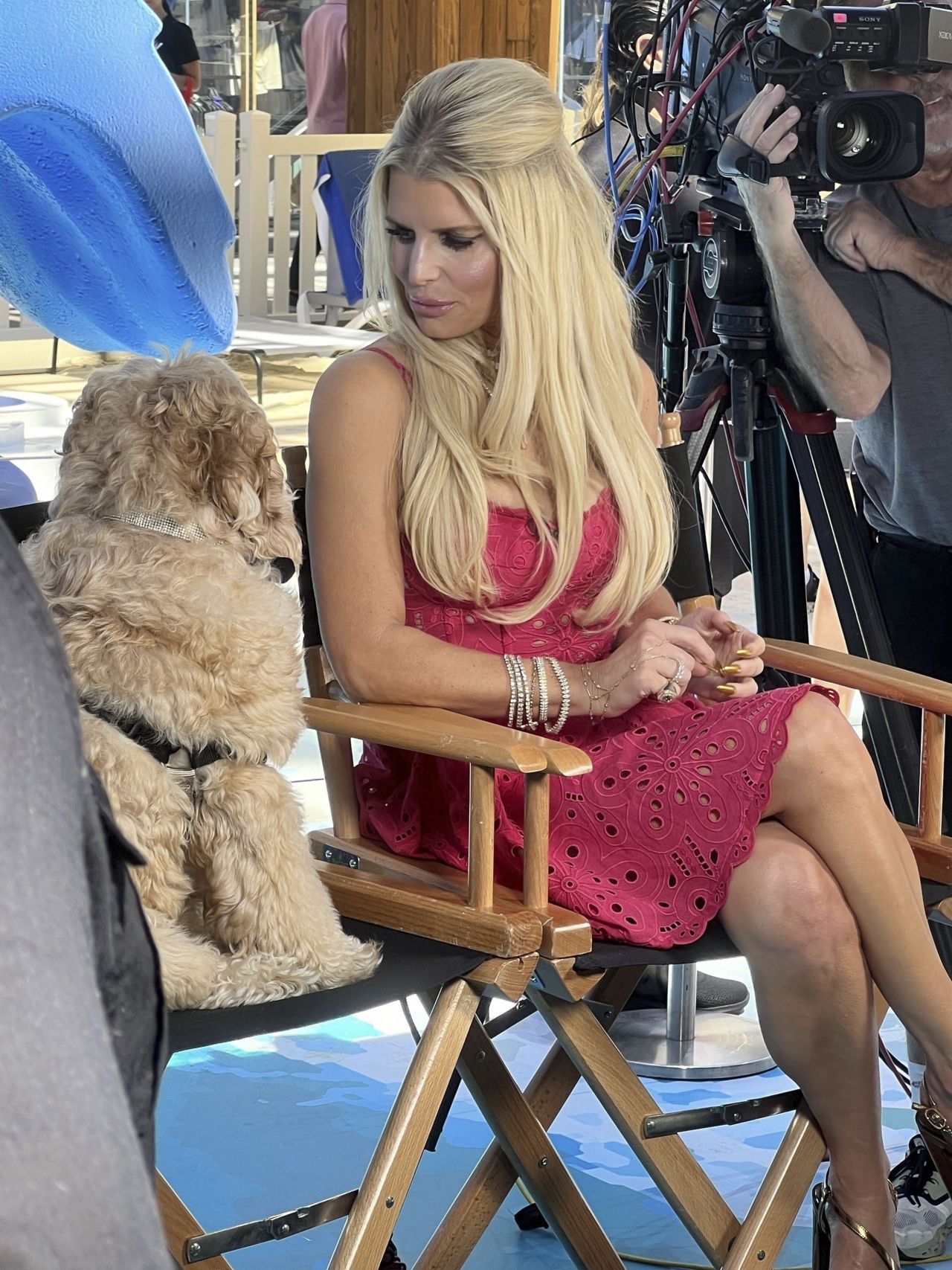 Jessica Simpson In A Colorful Dress At A Petsafe Event In Beverly Hills 08 25 2023 2 