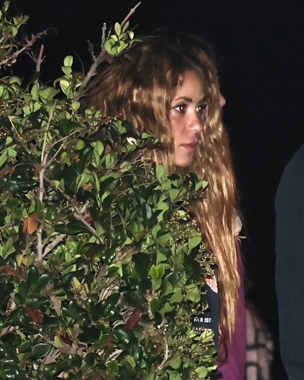 Shakira at Nobu in Malibu 08/12/2023 • CelebMafia