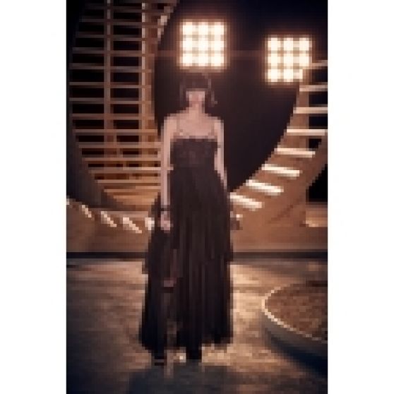 Dior Pre-Fall 2022 Gown