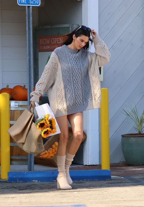 Kendall Jenner - Grocery Shopping in LA 10/28/2023
