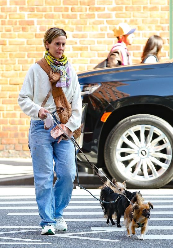 Sarah Paulson in Casual Outfit in New York 10/13/2023