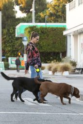 Alessandra Ambrosio - Out in Brentwood 11/08/2023