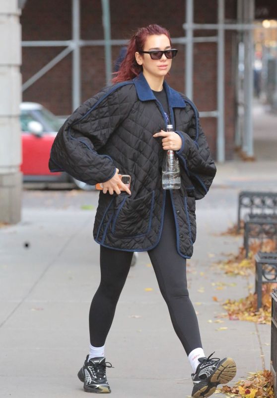Dua Lipa goes for a morning workout in New York 29.11.2023 x9