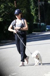 Lucy Hale - Walking Her Dogs in LA 11/21/2023