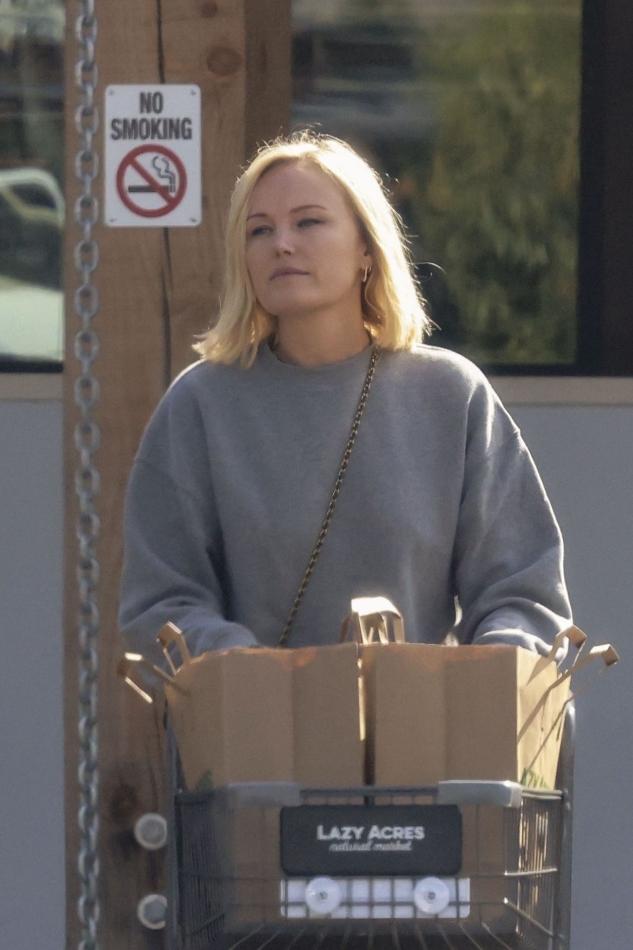 Malin Akerman Grocery Shopping at Lazy Acres in Los Feliz 11/27/2023