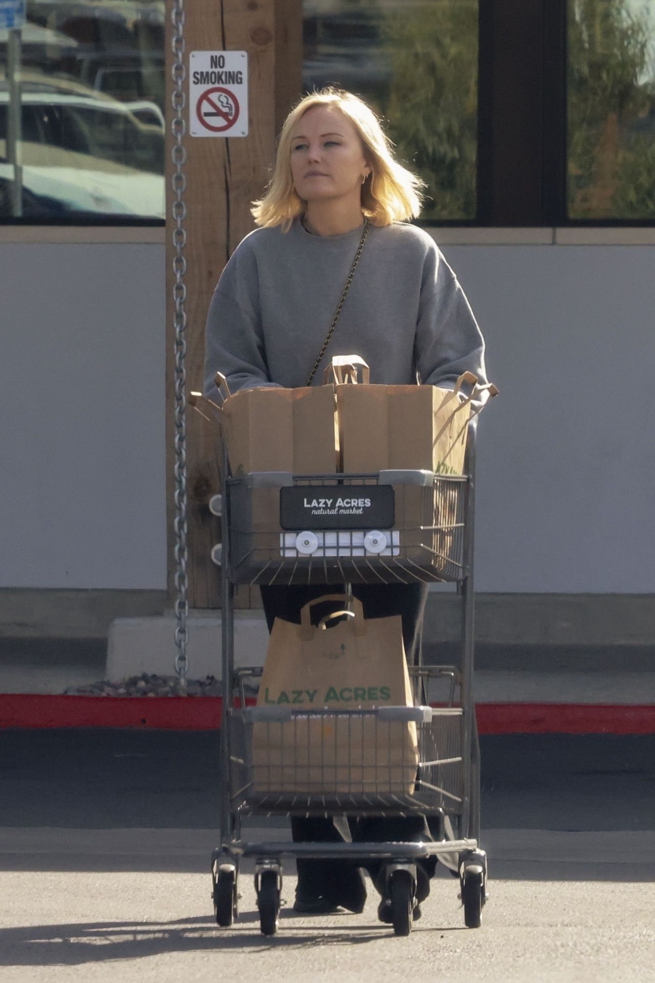 Malin Akerman Grocery Shopping at Lazy Acres in Los Feliz 11/27/2023