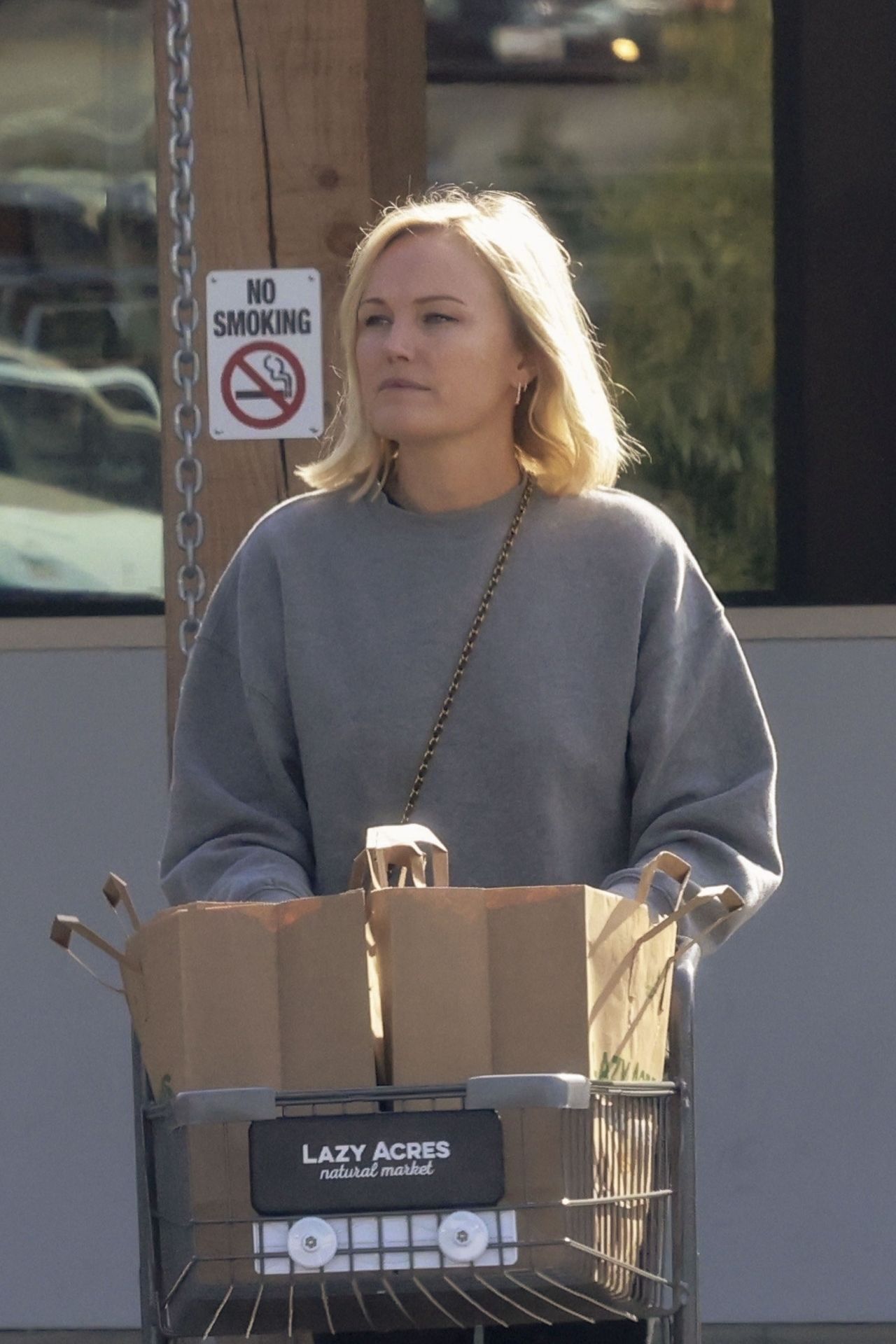 Malin Akerman Grocery Shopping at Lazy Acres in Los Feliz 11/27/2023