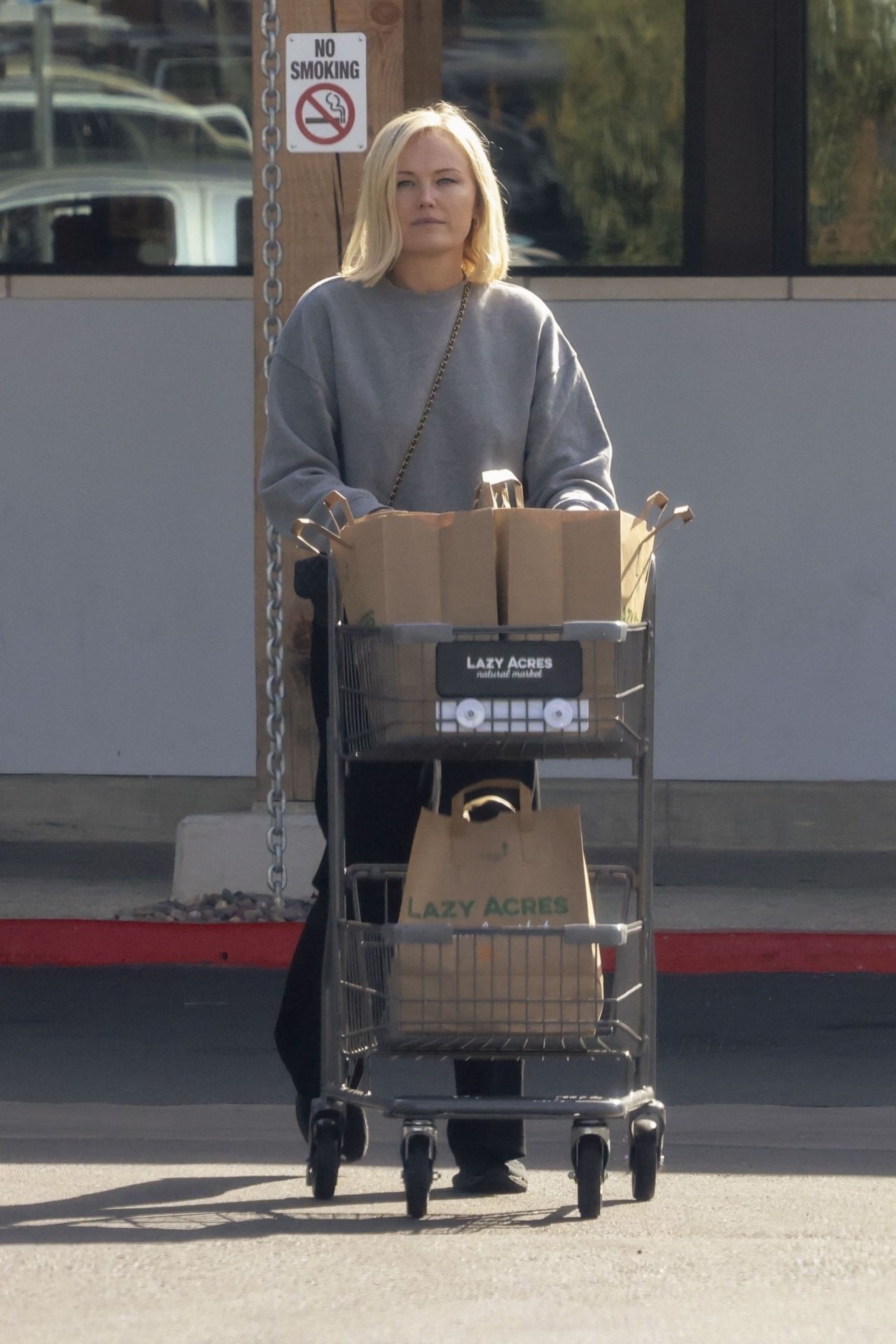 Malin Akerman Grocery Shopping at Lazy Acres in Los Feliz 11/27/2023