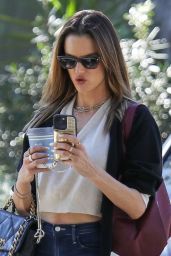 Alessandra Ambrosio - Christmas Shopping in Pacific Palisades 12/15/2023