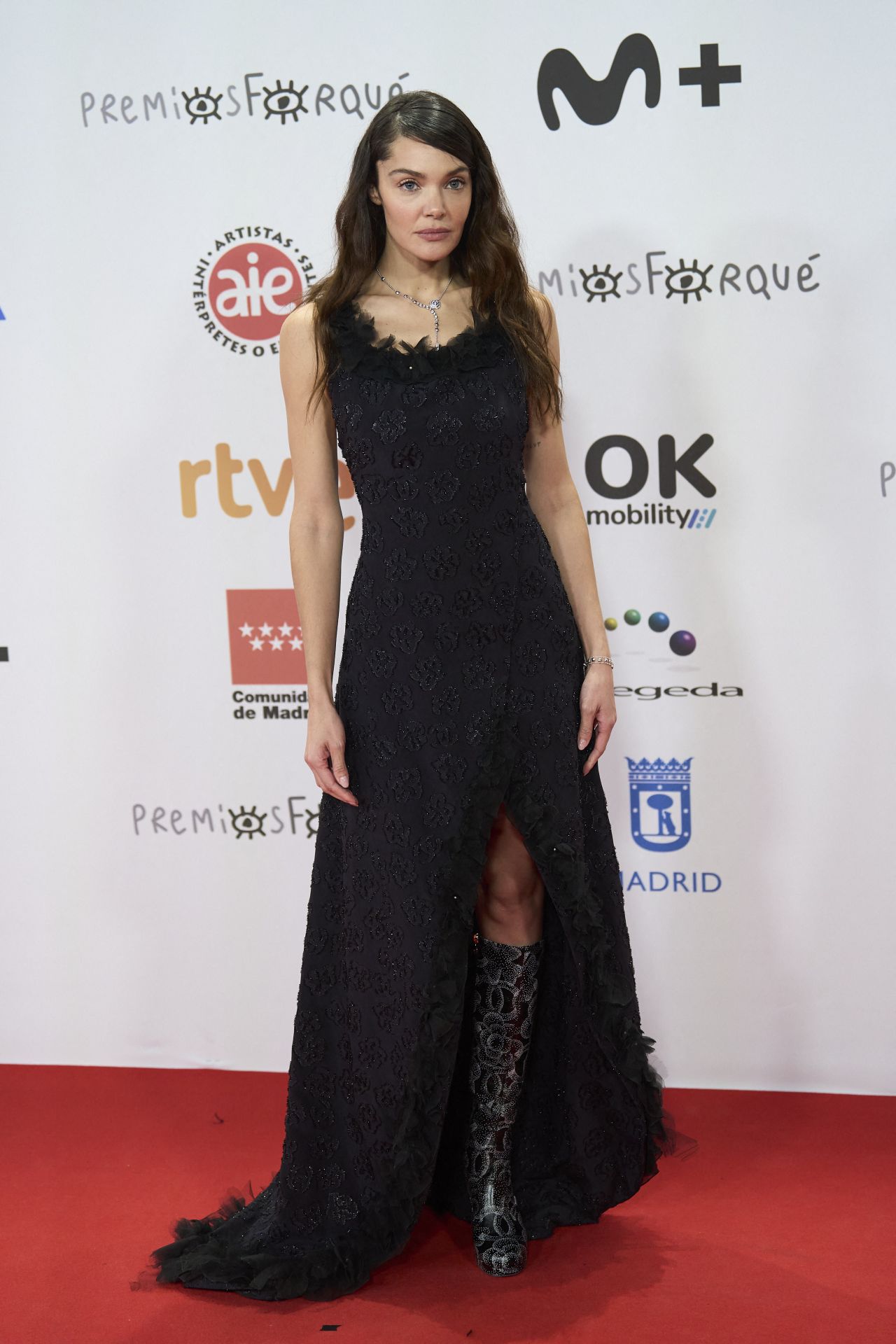 Ana Rujas – Jose Maria Forque Awards Red Carpet in Madrid 12/16/2023