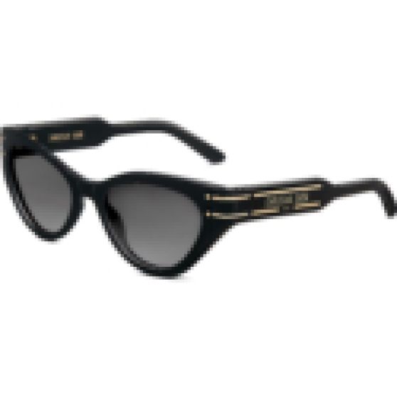 Dior Diorsignature B7I Black Butterfly Sunglasses
