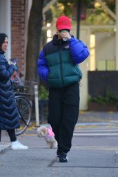 Emily Ratajkowski in Casual Outfit in New York 11/29/2023