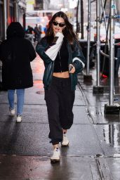 Emily Ratajkowski in Casual Outfit in New York City 12/18/2023