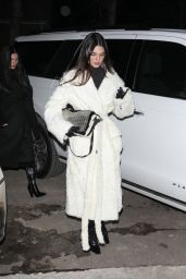 Kendall Jenner Stylish Night Out at Catch Steakhouse in Aspen 12/17/2023