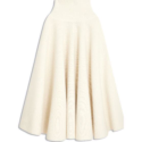 Schiaparelli Skater Skirt