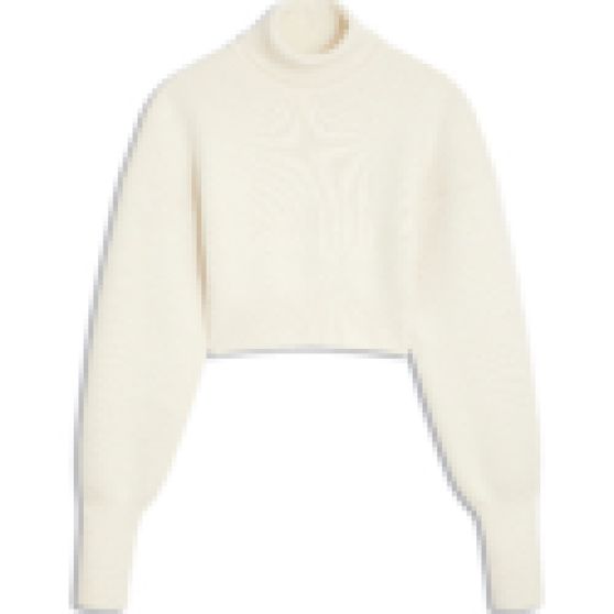Schiaparelli Wide Sleeves Cropped Knit