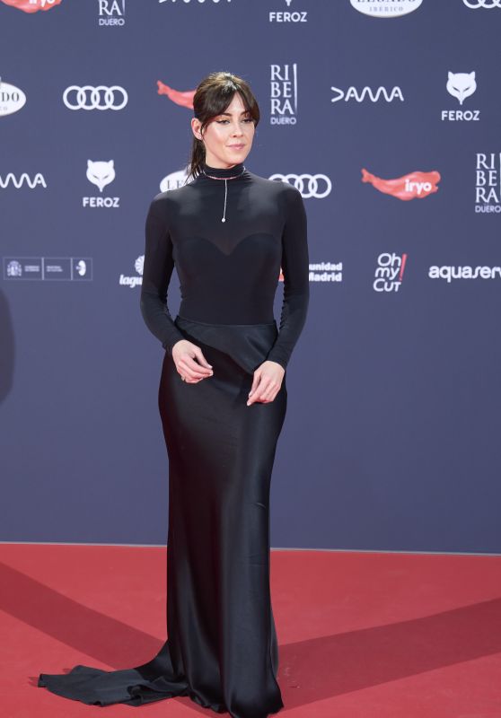 Eva Ugarte – Feroz Awards Red Carpet in Madrid 01/26/2024