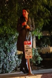 Sandra Bullock Leaving San Vicente Bungalow in West Hollywood 01/11/2024
