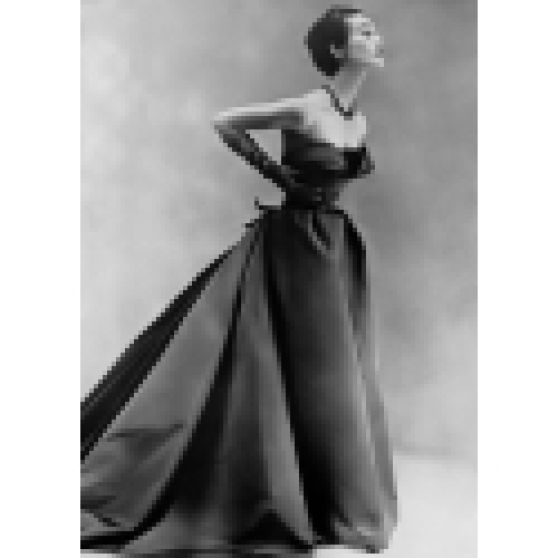 Dior Autriche Gown