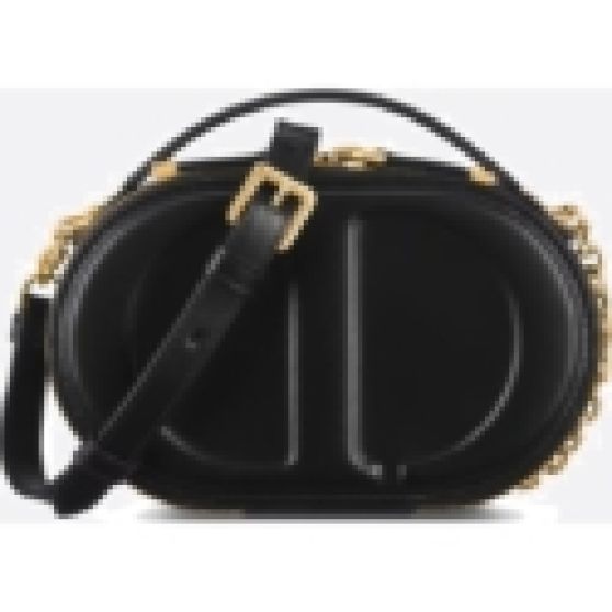 Dior Cd Signature Oval Camera Bag