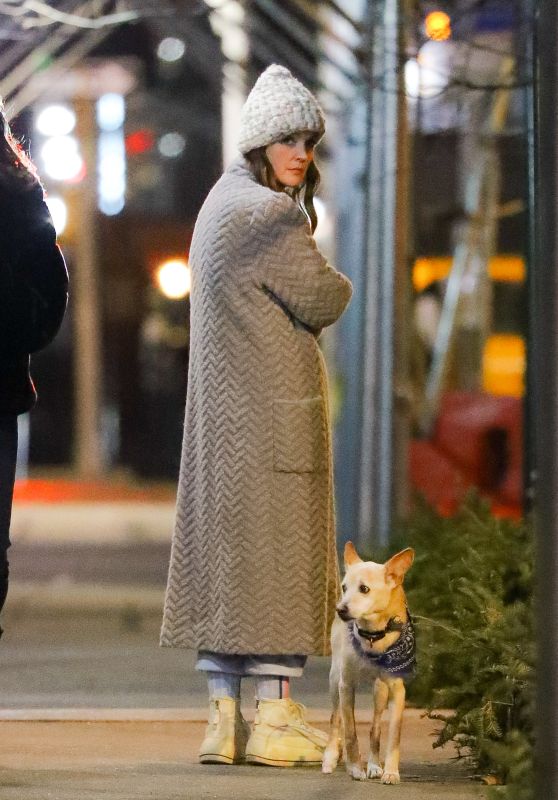 Drew Barrymore On Her Birthday in New York 02/22/2024