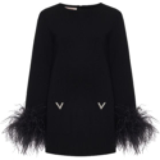 Valentino Feather-Trimmed Embroidered Viscose Sweater