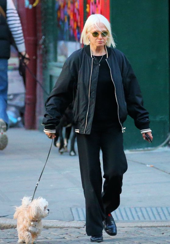 Ellen Barkin Out in West Village in New York 03/17/2024
