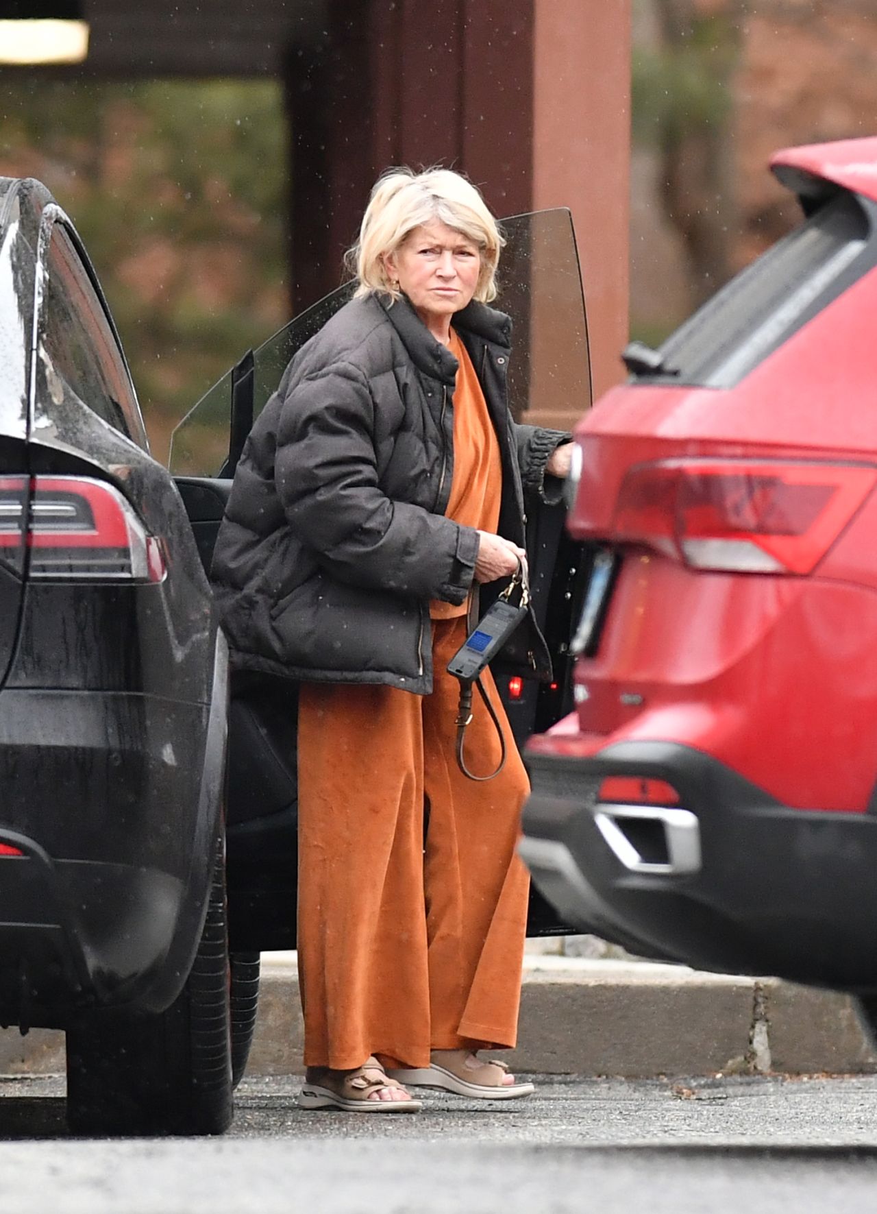 Martha Stewart Out in Bedford, New York 03/03/2024 • CelebMafia