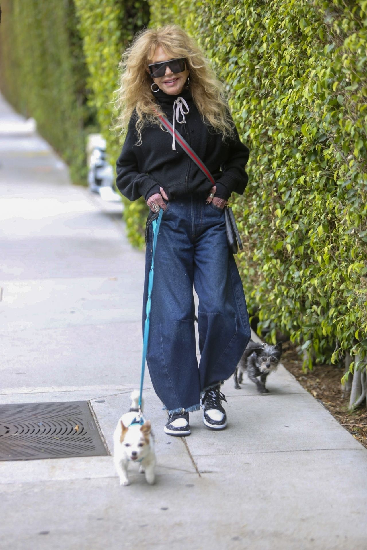 Dyan Cannon Out in Los Angeles 05-10-2024 • CelebMafia