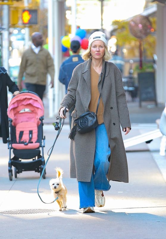 Naomi Watts Rocking Cozy Fall Fashion During Stylish Dog Walk in NYC [10-25-2024]