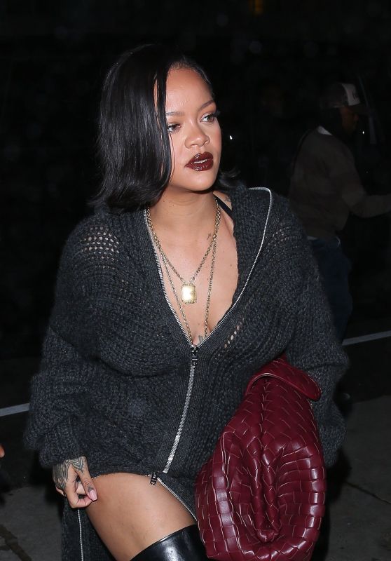 Rihanna Sizzles in Santa Monica with Friends [10-24-2024]