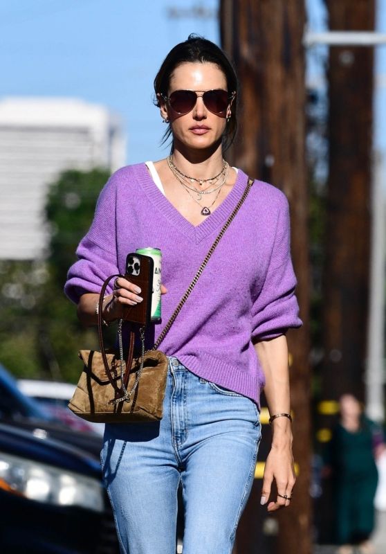 Alessandra Ambrosio at School Event [11-17-2024]