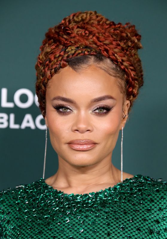 Andra Day Lights Up 2024 Baby2Baby Gala in LA