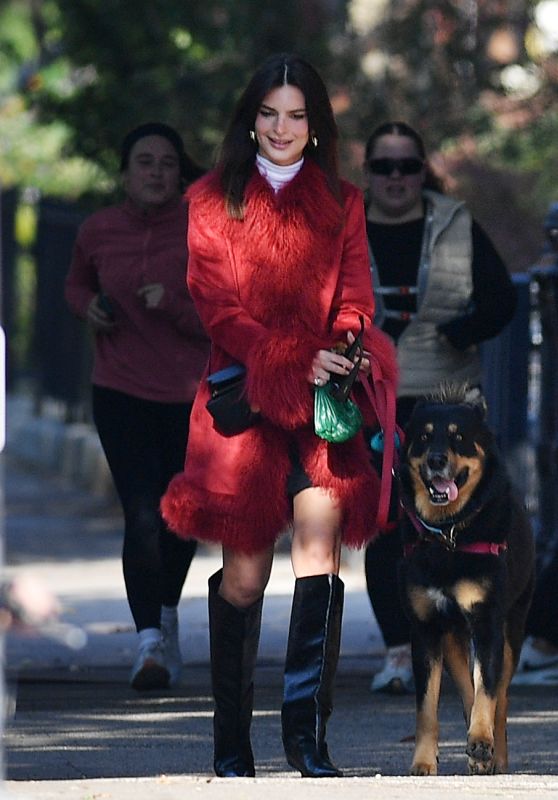 Emily Ratajkowski Looks Stylish While Walking Her Dog [11-09-2024]